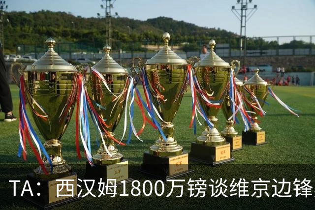 TA：西汉姆1800万镑谈维京边锋奥斯特博；1200万镑报价戈戈尔萨